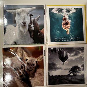 Greeting Cards - Beautiful Photography - Blank (Set of 4‎ / New)